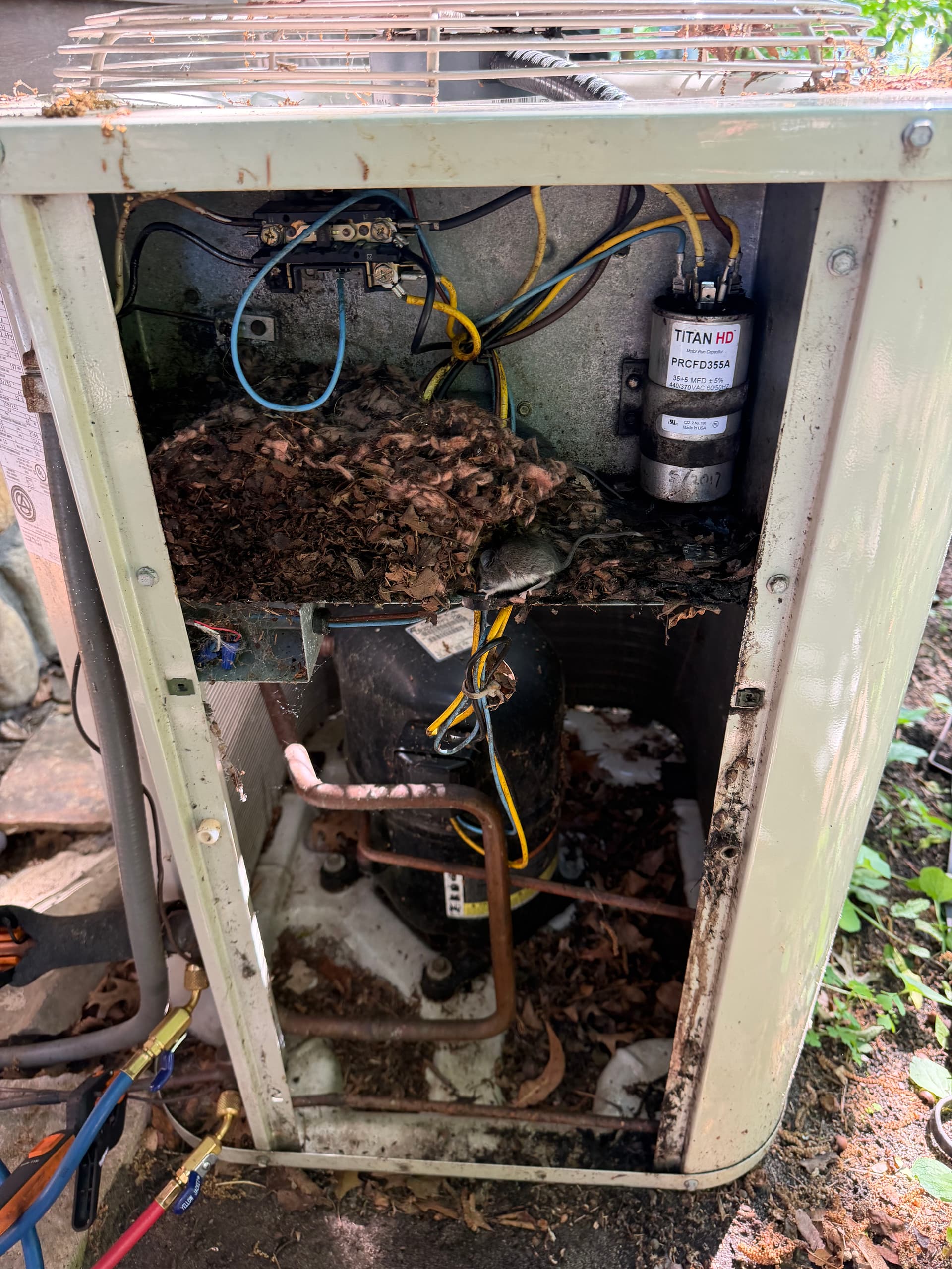 Critters and Debris Had This AC Unit Down for the Count image